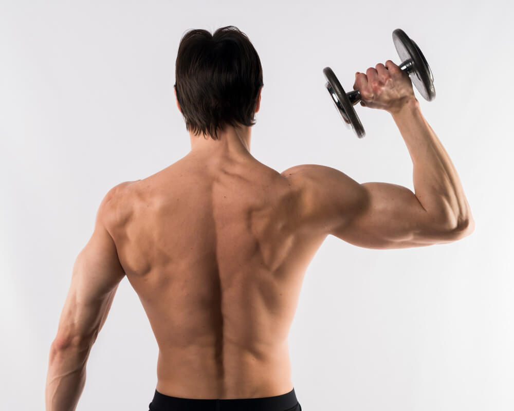 cable machine shoulder exercises